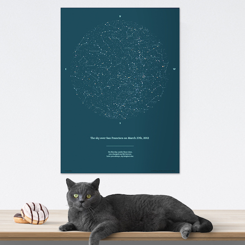 Blue grey star map with cat
